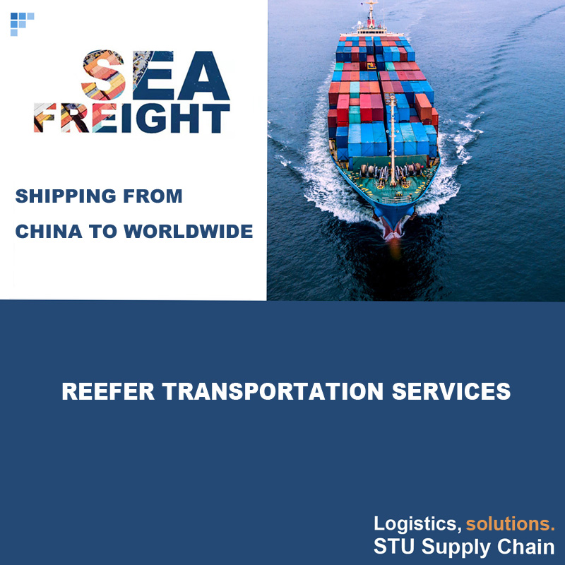 Reefer Transportation by Sea Shipping from China to Worldwide